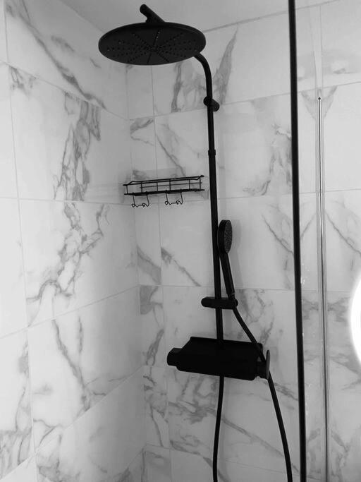 Apartament Superbe Duplex Cosy Reims Zewnętrze zdjęcie